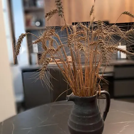 Akademik Daire Banská Štiavnica