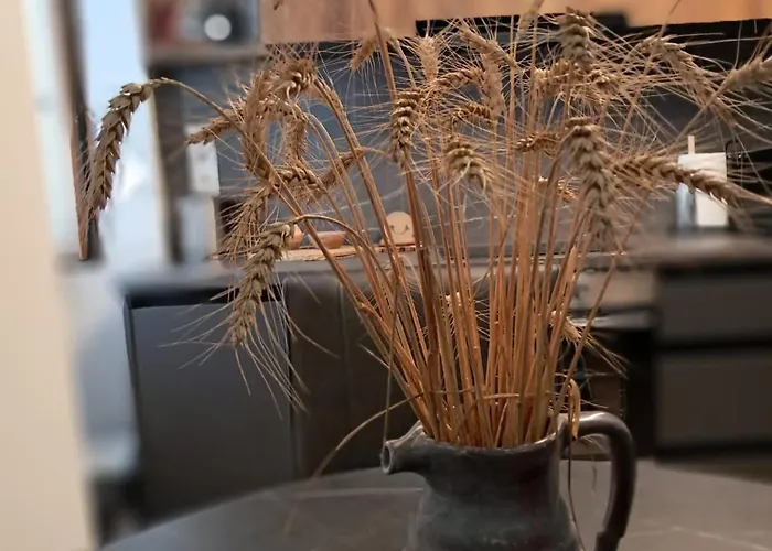 Akademik Apartman Banská Štiavnica